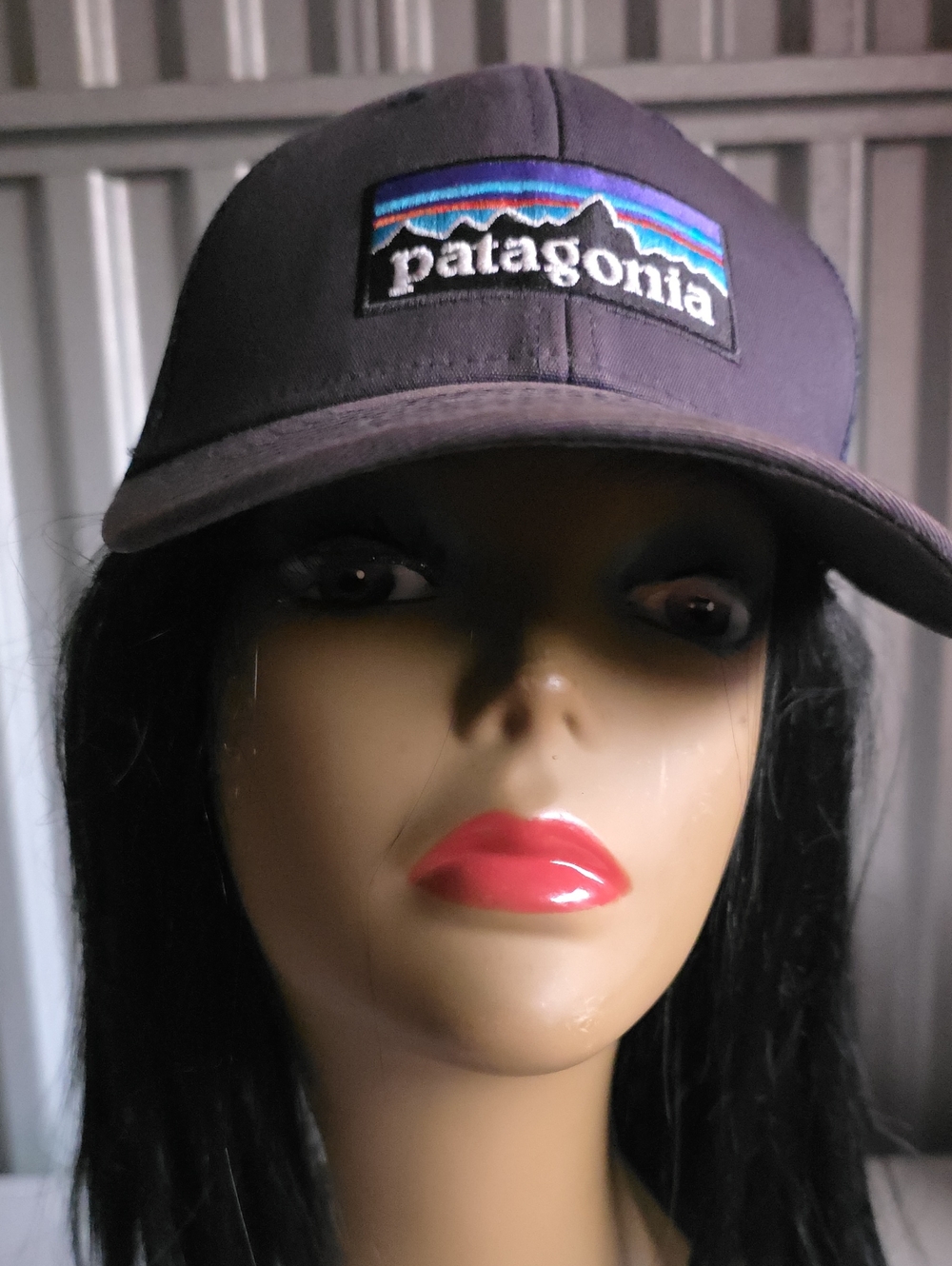 Patagonia Dark Gray Cap with Multicolor Mountain Patch